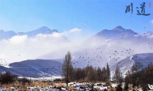 巴爾斯雪山雪景6.jpg