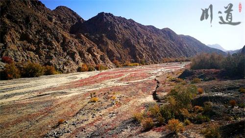 阿爾金山在哪里.jpg